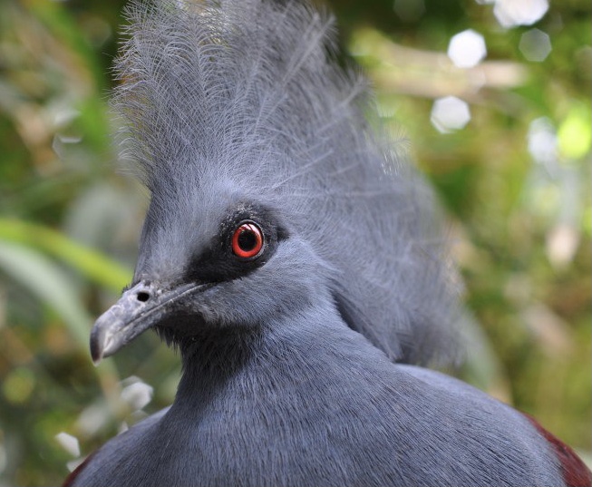 65A197D3-CA8C-4C51-B7C9-3865F519A4AD