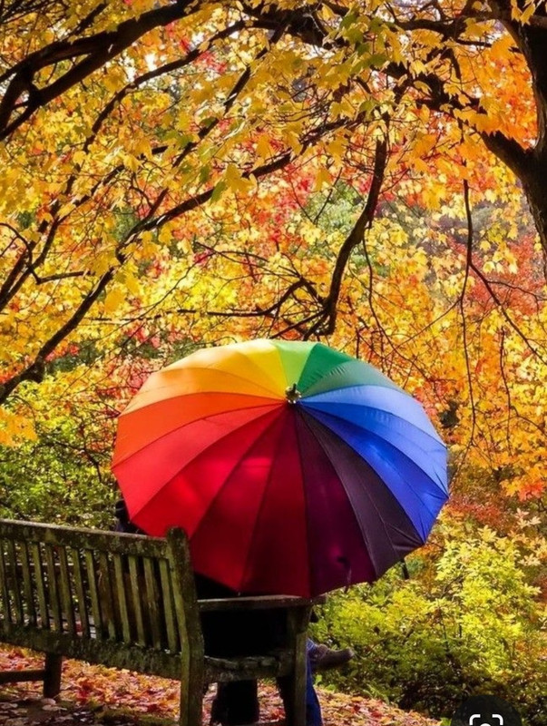 Screenshot_20231201_000958_Pinterest