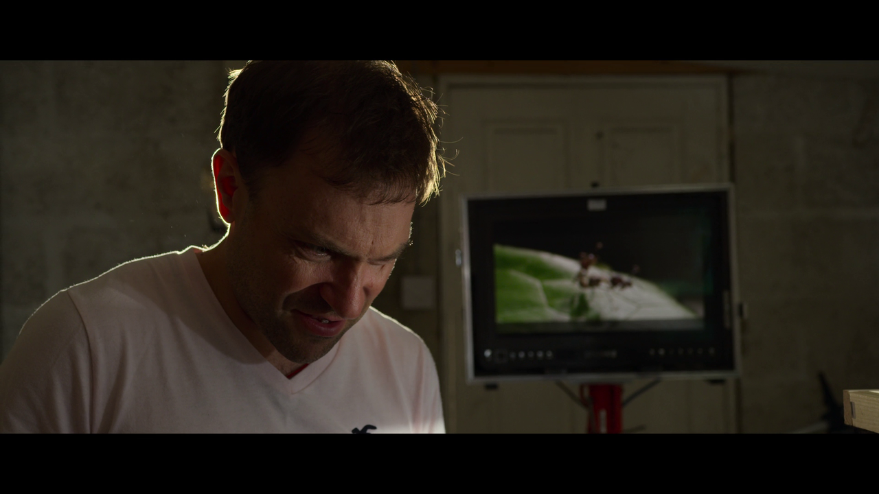 vlcsnap-2024-02-01-15h52m13s041