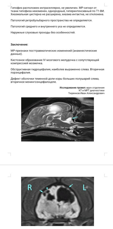 Whats-App-Image-2025-02-14-at-10-32-49