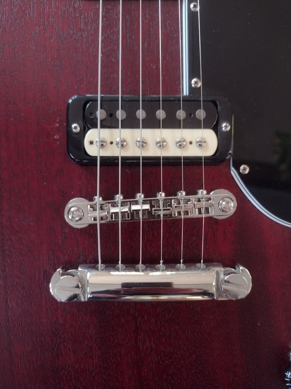 IMG_20230314_174525660