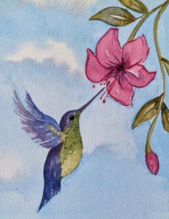 Hummingbird