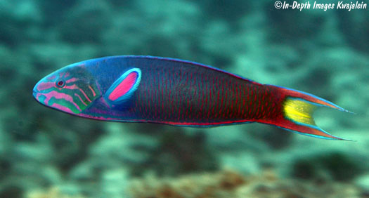 A38AEE78-9859-42EE-9EFF-26F6F33B5939