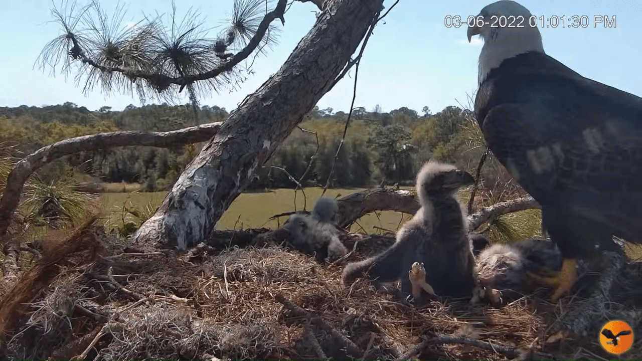 Webp.net-gifmaker (1)