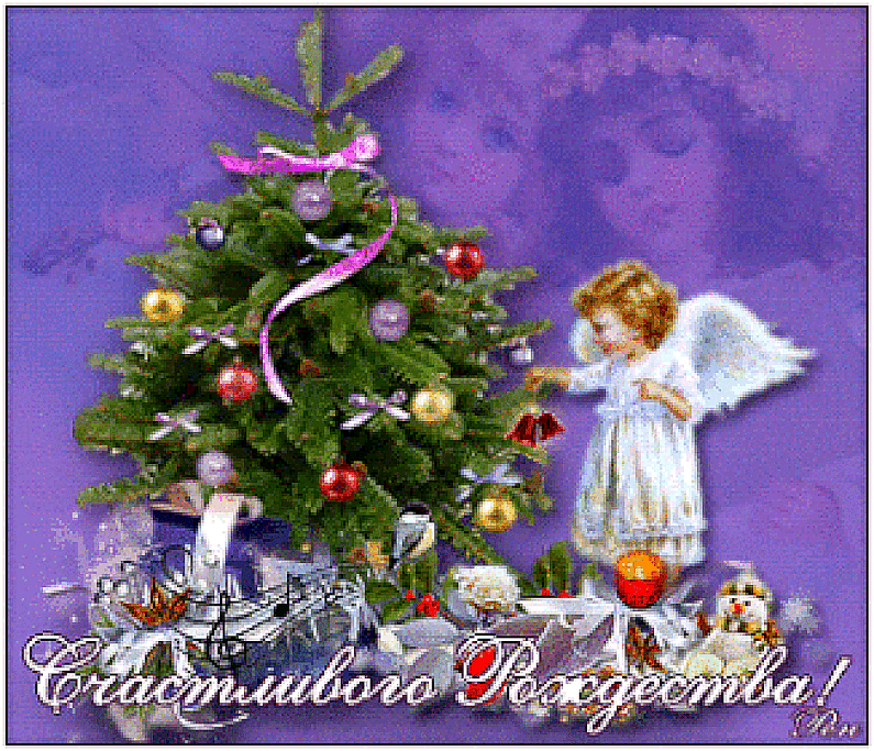 gif-2-gif-gif
