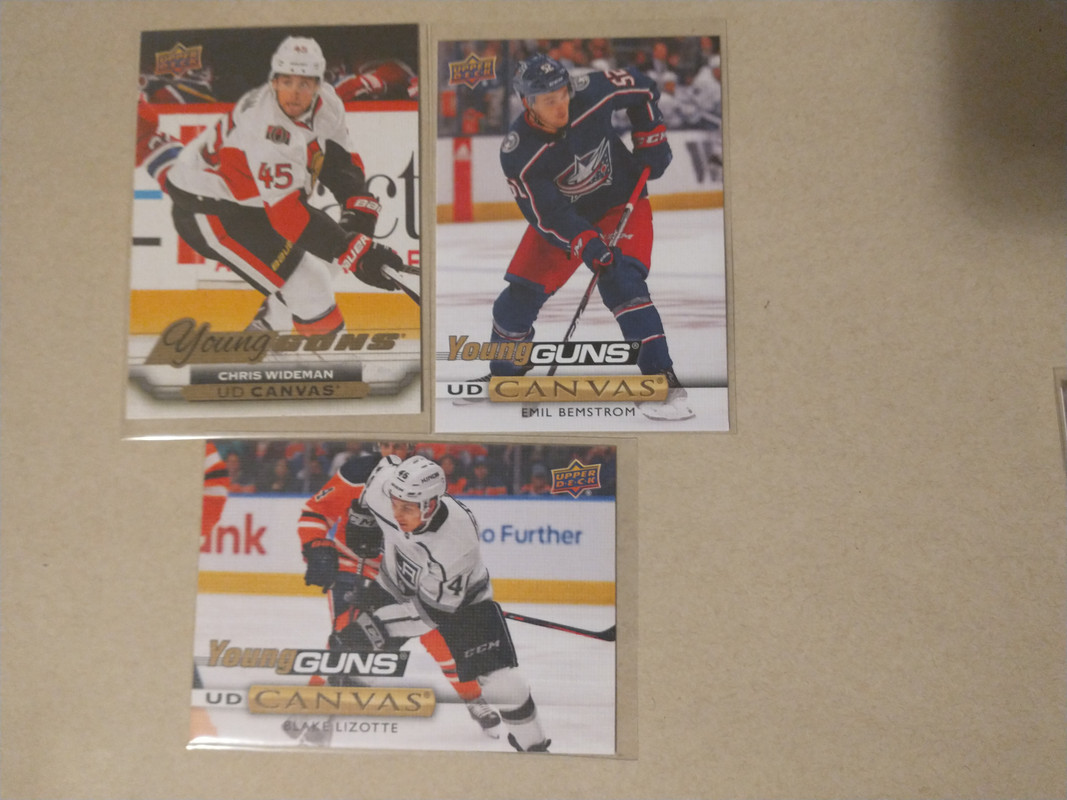 IMG_20241015_132345542