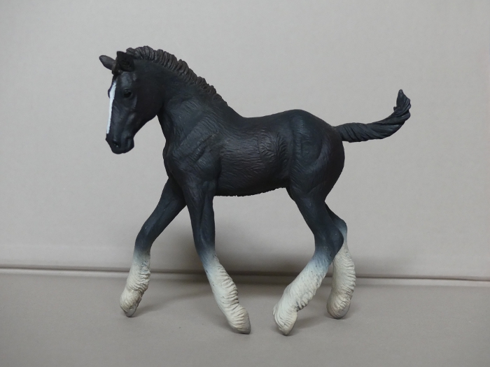 Pictures for Toy Animal Wiki - Page 14 Shire-Foal-Black