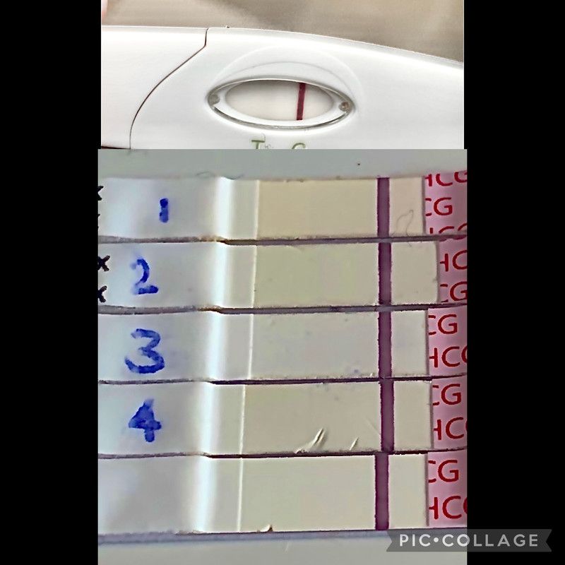 291CD6A3-C9A7-46DC-AC9B-3B7EE914D46D