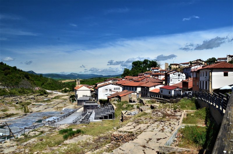 ALAVA Y SUS PUEBLOS-2011/2021 - Blogs de España - VALLE SALADO DE AÑANA-21-5-2021 (10)