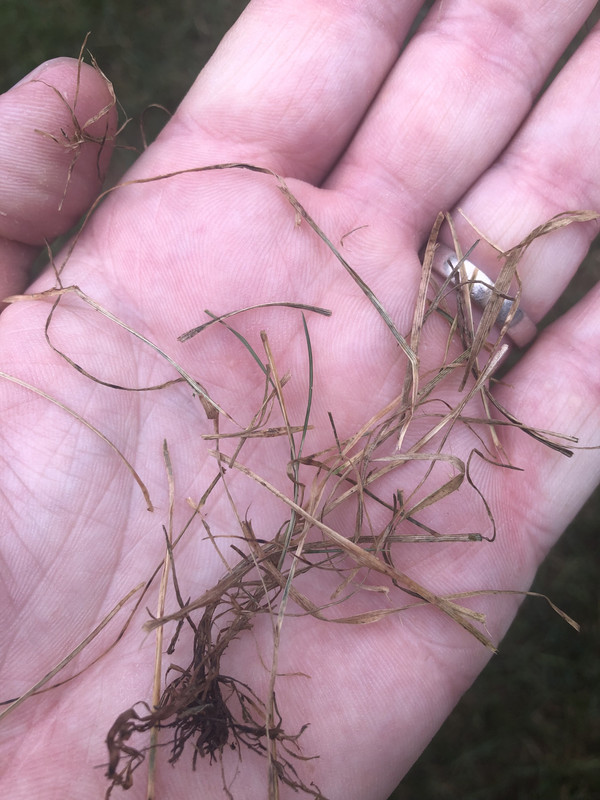 BEE92B35-6F1E-4E62-9E80-FA66ED026FC2