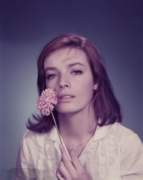 kinopoisk.ru-Marie-Lafor_26ecirc_3Bt-3015664