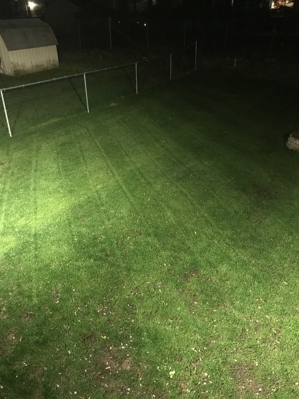 AEA909F8-EF4A-48B1-9A09-C8B3638EC6E9