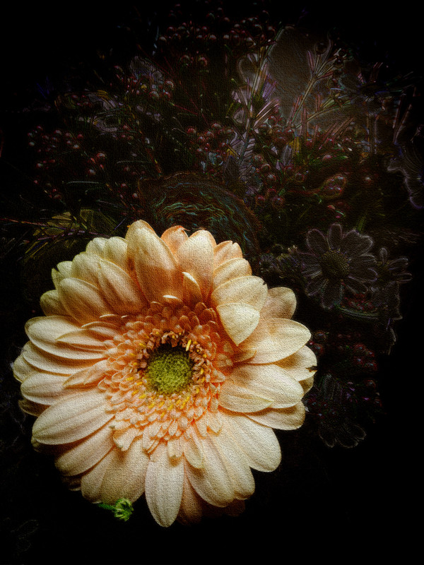 2018-03-03 18-48-23  0100