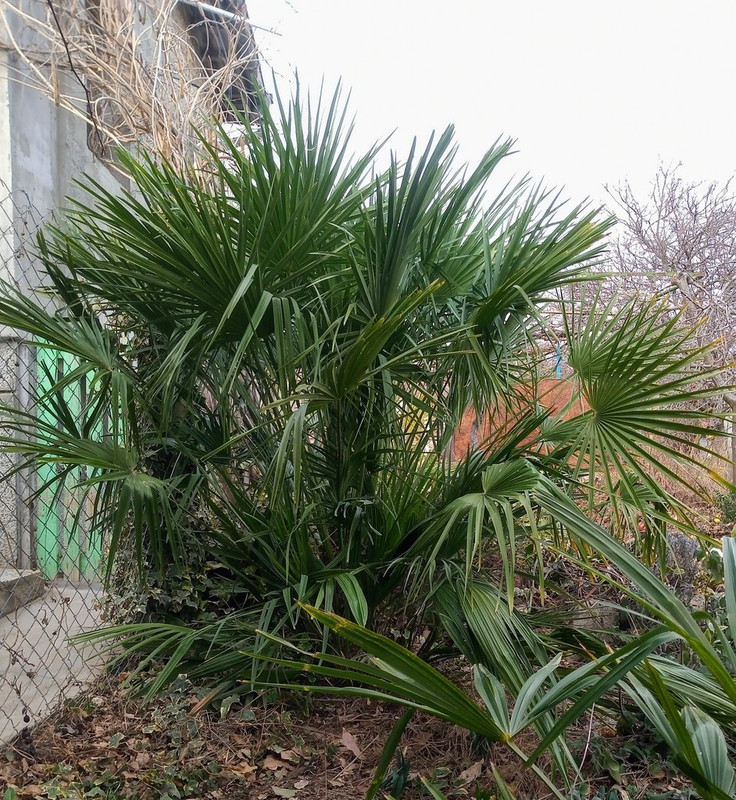 IMG_20220220_153235461~3