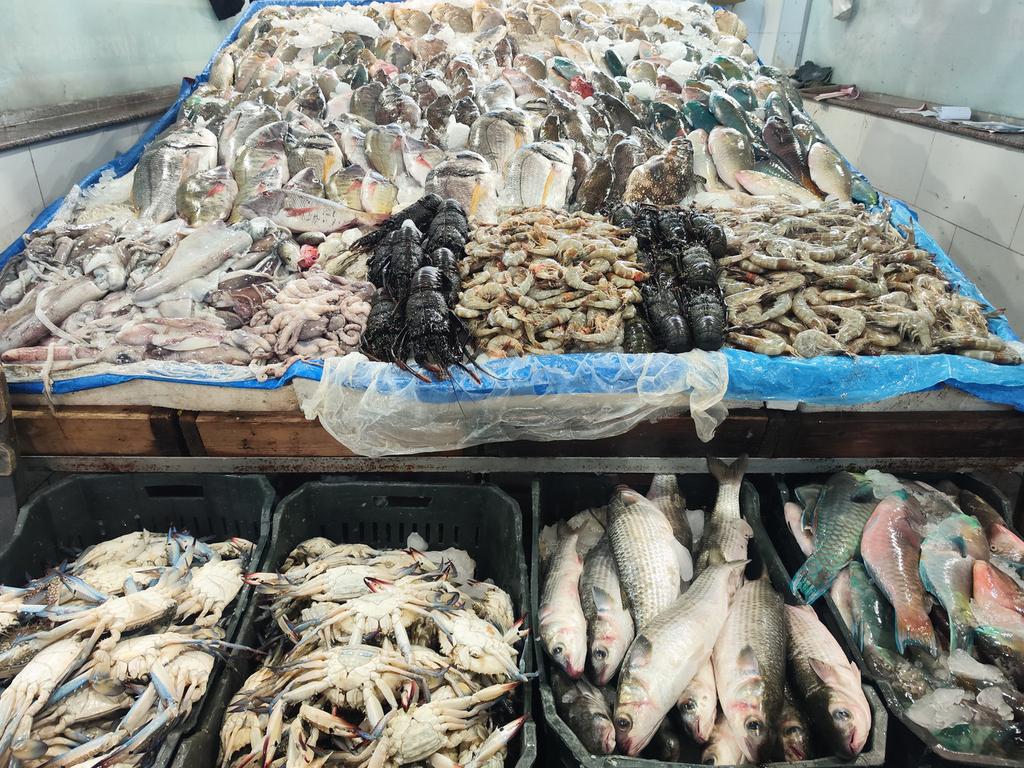 Ленивый Египет (Хургада, Луксор, Каир), декабрь 2025 - январь 2026