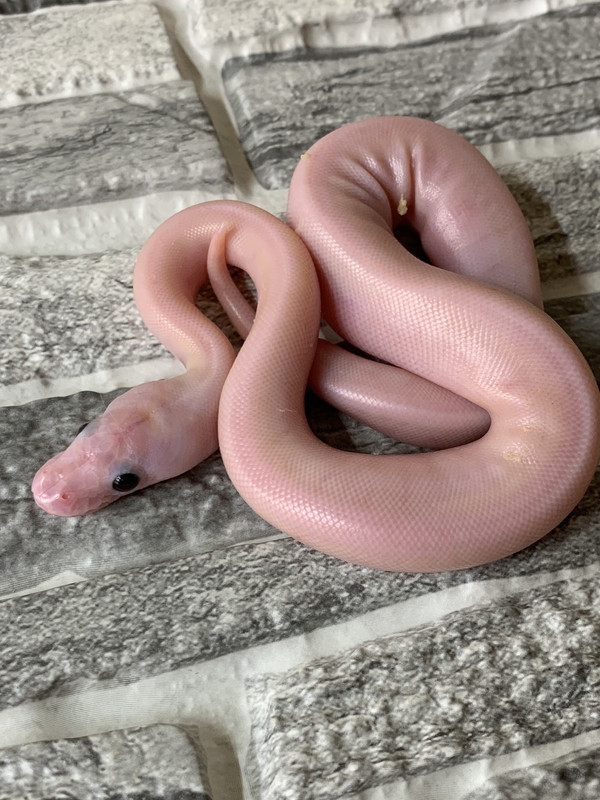 A8E4BB83-E857-48EC-B645-BF1F2DEB4C80