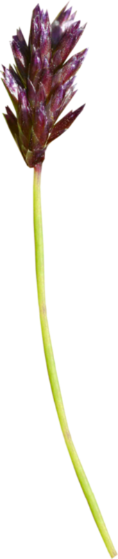 0_1c0e16_e20fb2d5_orig