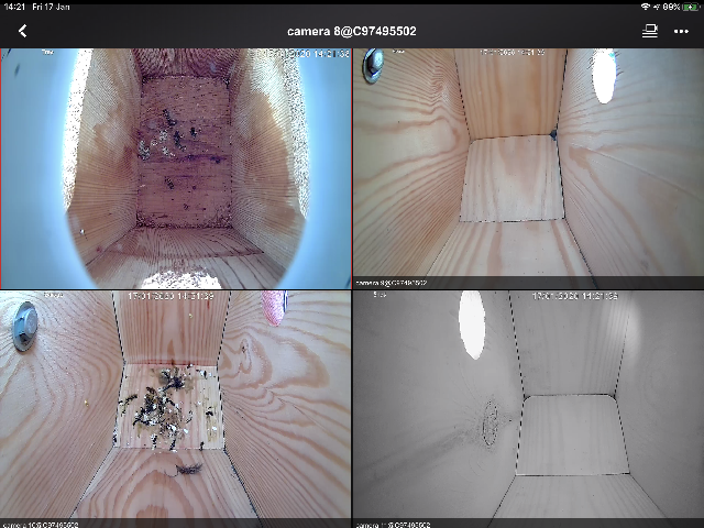 006538D3-A2F7-4933-A8E5-DFE54C5C2523