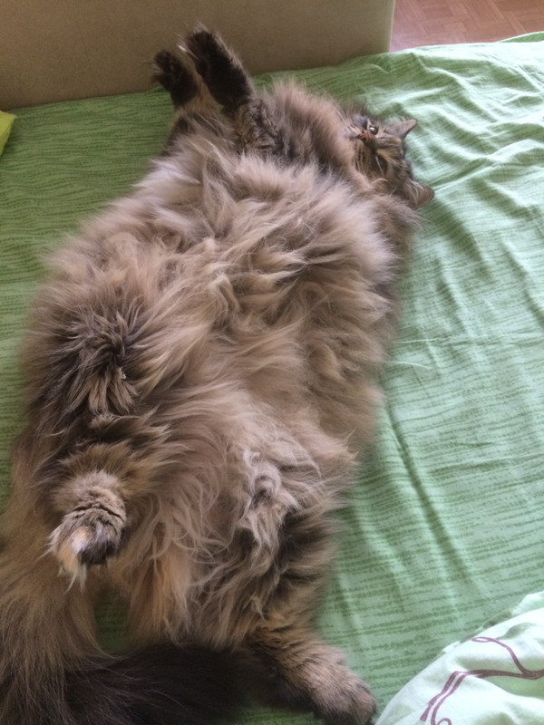 565DEFA1-0D87-4E44-8D43-43F9AFB474A1