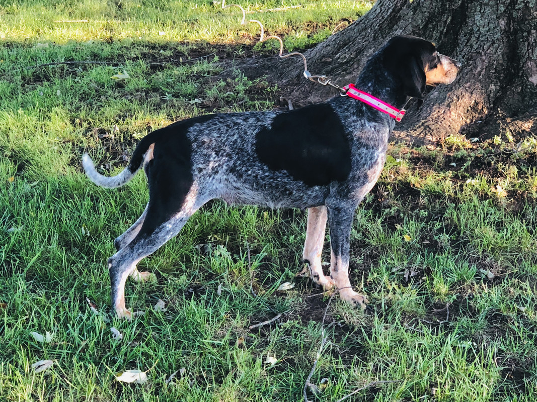 A97E5C43-1220-4C24-956F-DB3B3A5645B0