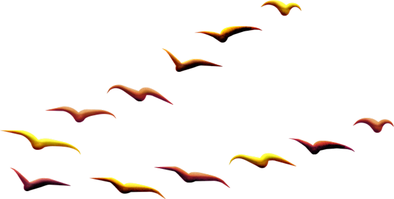 IPD_AH_Element (141)