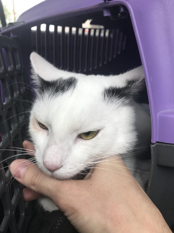 перед операцией3