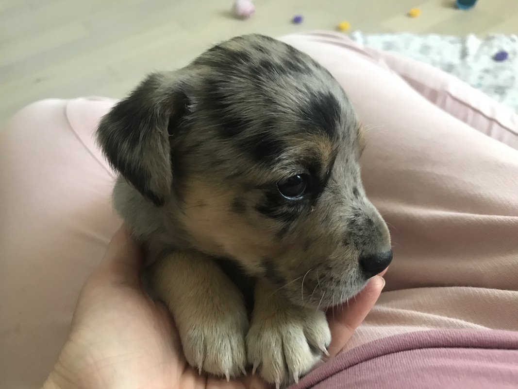 D3151F6E-F566-4180-8CD7-064A0B8DEF8F