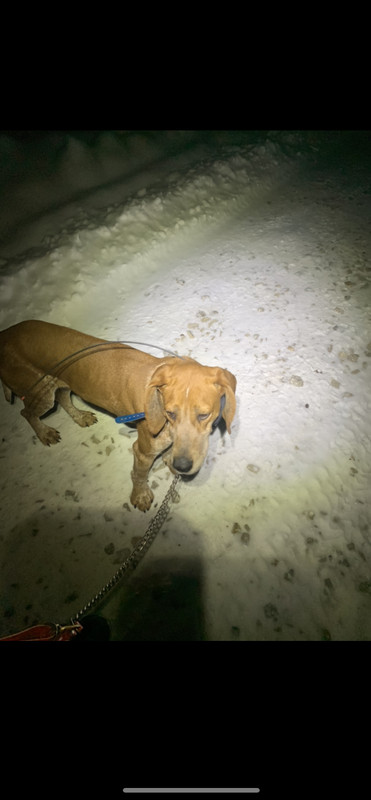 BE5539B4-12F6-48B2-8C60-FC27BD44D70B