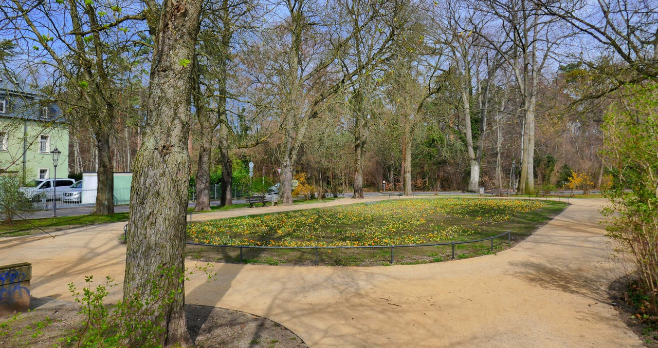 P1180755.jpg