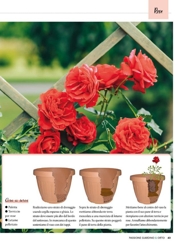 Pass Giar e Orto Apr 2026 (6)