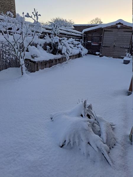 [Image: Neige-01-2026.jpg]