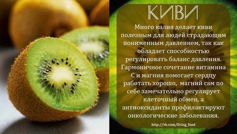 Киви - источник витаминов и полезных элементов как интегрировать его в свой рацион