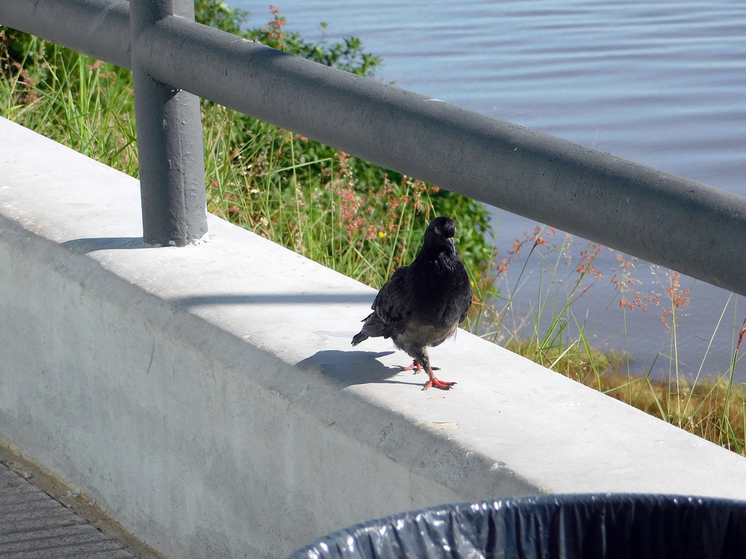 DSCN0176.jpg