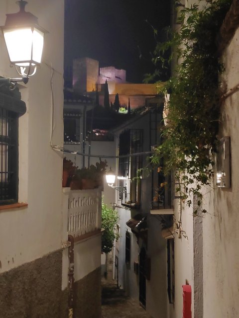 Córdoba y Granada en un verano atípico. - Blogs de España - Miércoles 8/07. Catedral, Capilla Real, Monumentos Andalusís y cena con vistas. (24)