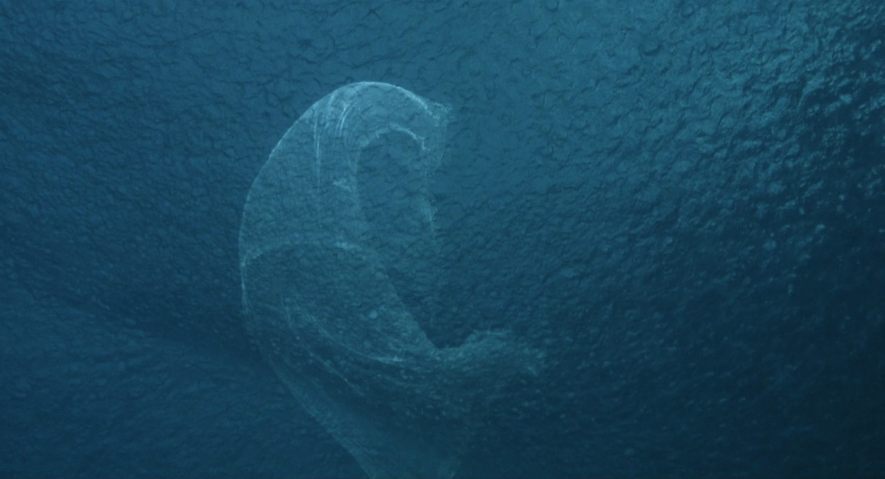 vlcsnap-2025-07-15-11h17m35s285.png