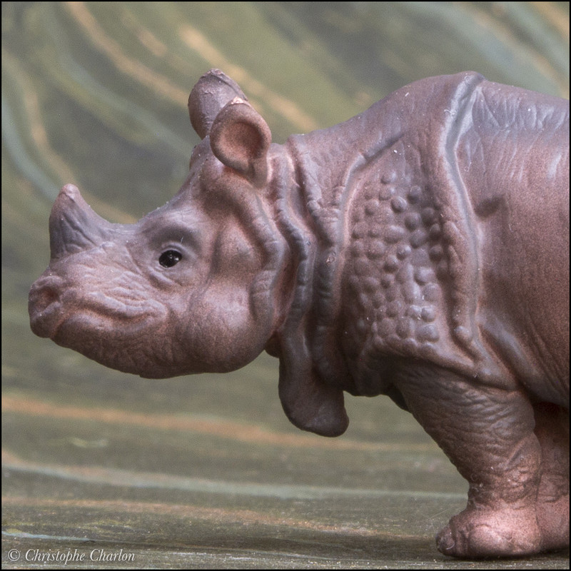 The Eikoh Indian rhinoceros, a walkaround by Kikimalou Eikoh-78825-Indian-rhinoceros-12