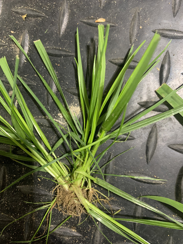 F6045498-3219-4224-A01A-9BCAD7D1C3C9