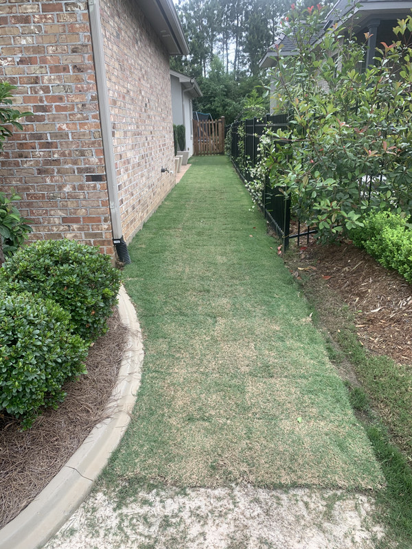 E7225075-8670-47CA-9375-AA67EFE2724F