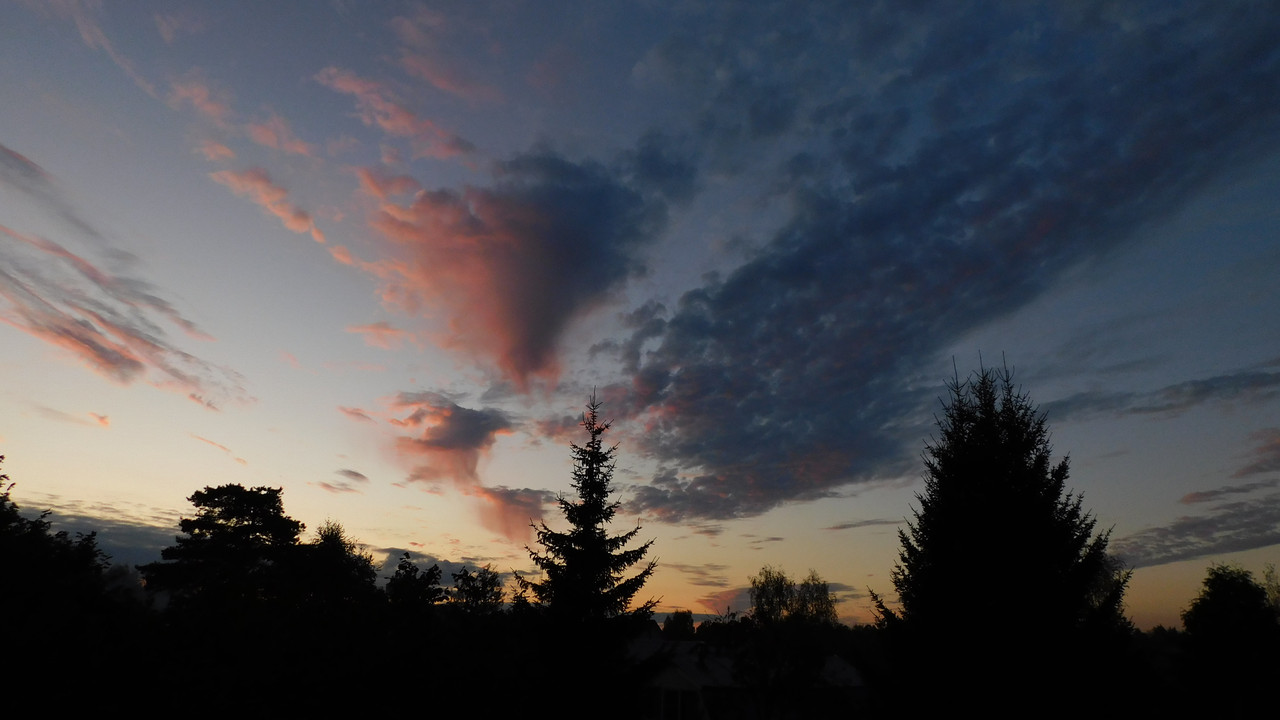 сентябрь дачно-миниатюр 2025 030