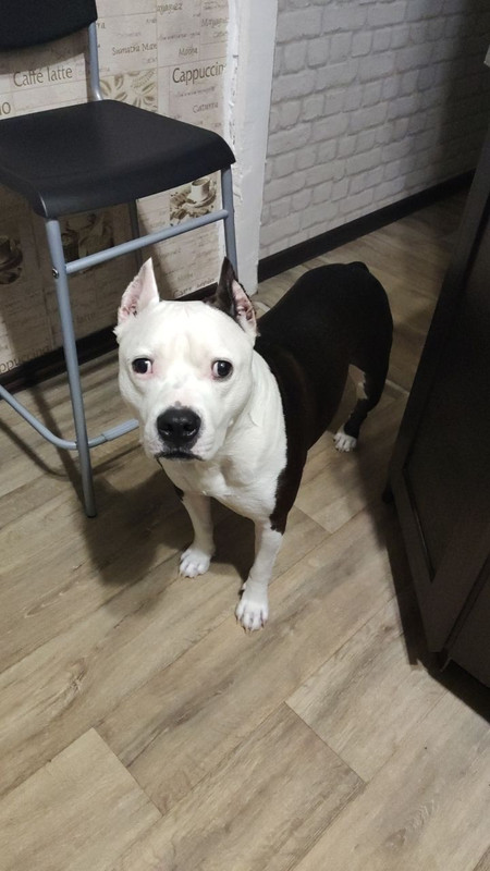 A6365054-88E3-4626-AFB5-847527FD4DA3