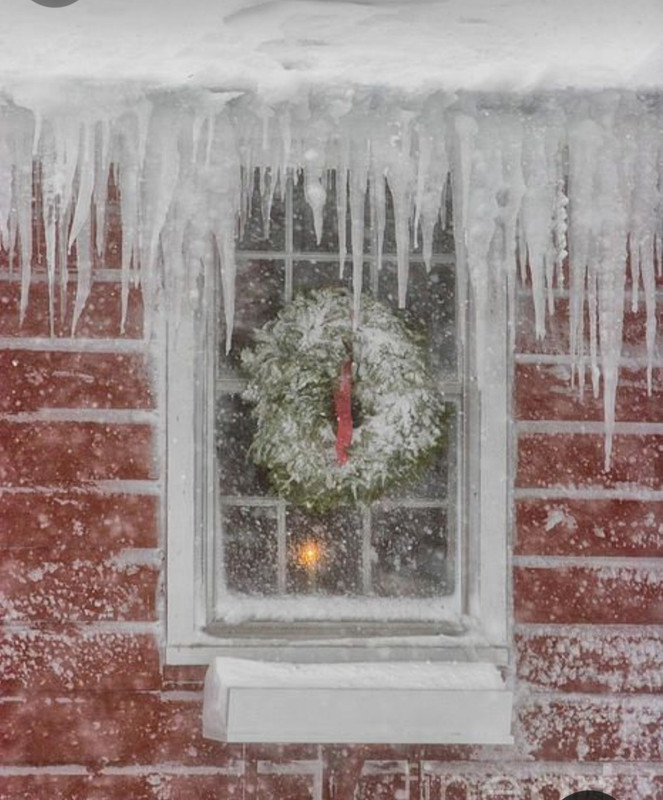 Screenshot_20231211_194502_Pinterest