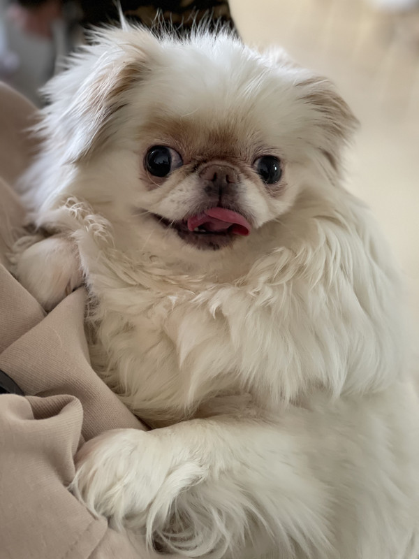 8D19D9C3-FDB0-4054-9A6C-AA06F066E3EA