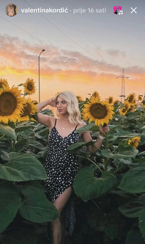 Screenshot 20260131 174419 Tik Tok