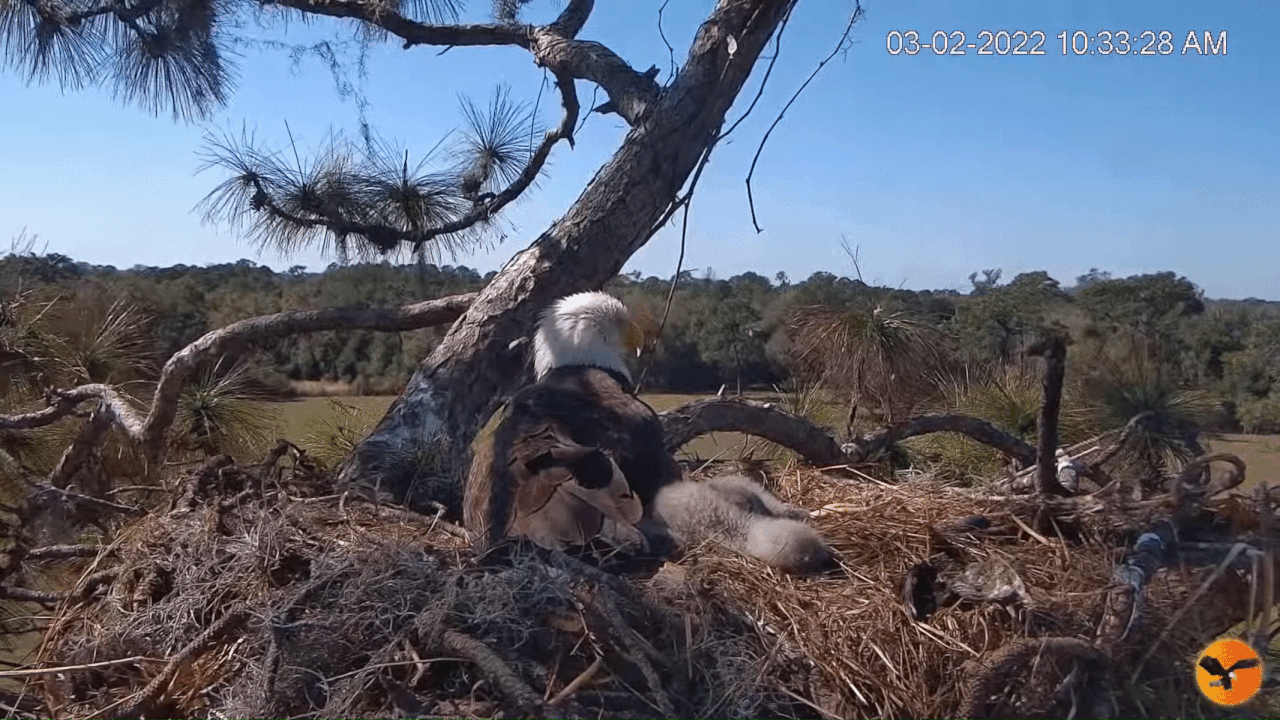 Webp.net-gifmaker (6)