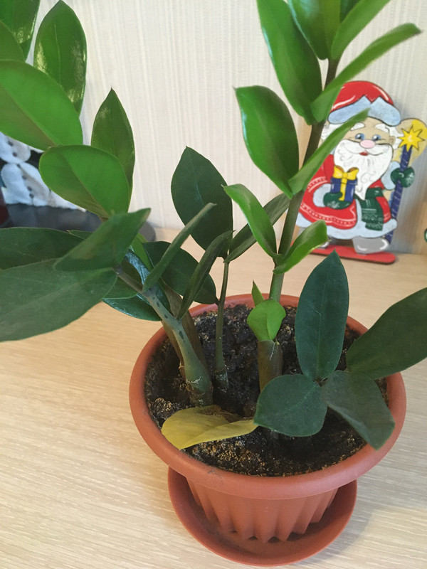 210EEA6E-1072-45C6-96FE-04365B384E01