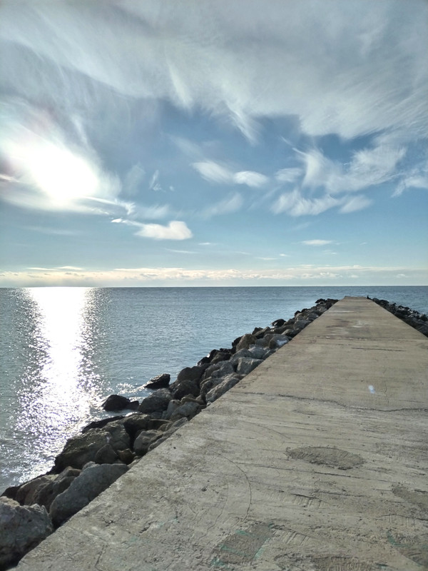 IMG_20240113_152447_edit_171060627037348