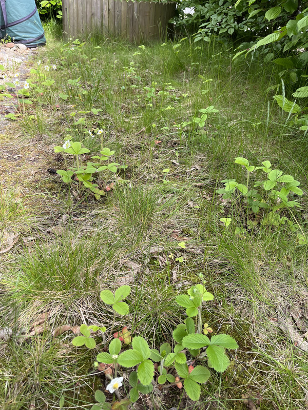 54D7D10F-61B4-482D-A754-7DF23B27F016