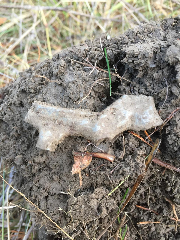 75A18240-4D94-429A-B506-828279FD0C0E