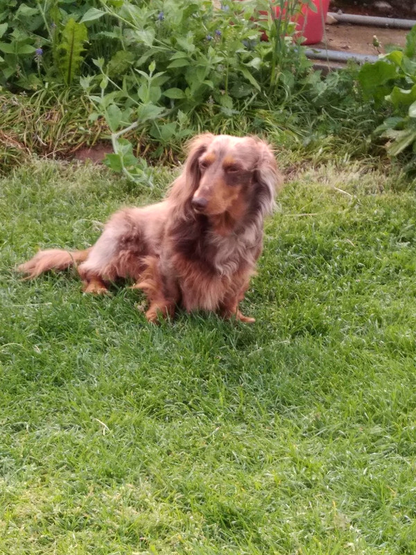 [Image: IMG-20230429-171350.jpg]