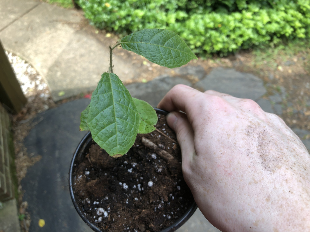 340C87E4-C447-49EC-B06A-D0149B13F0E2